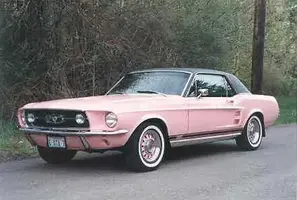 67-pink.webp