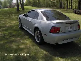 stang095.webp