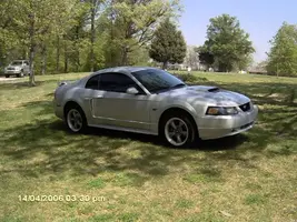 stang093.webp