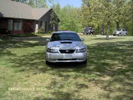 stang092.webp