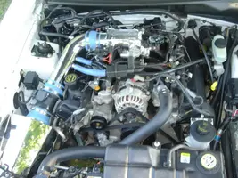 2002MustangGT005.webp