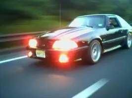 IMAGE0442.webp