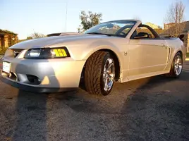 P1010179.webp