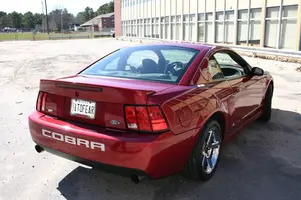 img0020edited17kb.webp