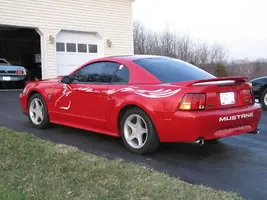 Pics-4-2-06003.webp