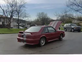 Mustang2013.webp