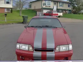 Mustang2010.webp