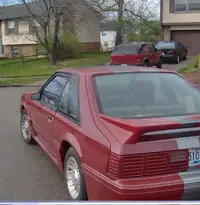 Mustang2008.webp