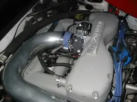 Roush_5.webp