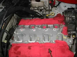 Roush_8.webp