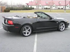 stang2-2006039.webp
