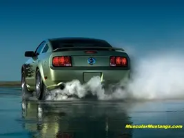wallpaper39.webp