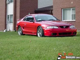 x-newbumper.webp