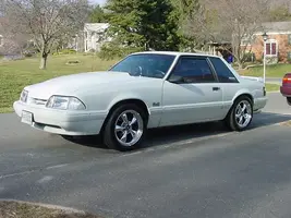 Picture003.webp