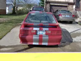 Stupid016.webp
