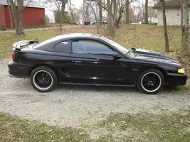 mustangpics004.webp