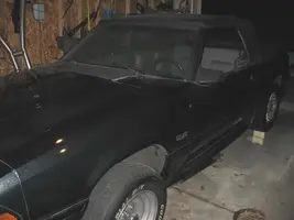 mustang2.webp