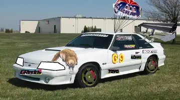 shawnmustang.webp