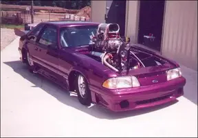 stang.webp