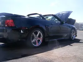 carshow005.webp