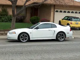 stang0325.webp
