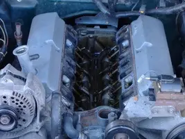 DSCF0398.webp
