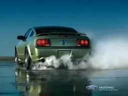 05MustangGTburnout.webp