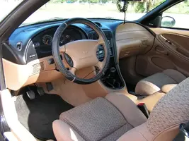 mustang6.webp