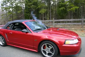 spray1reduced3pp.webp