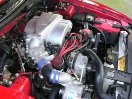 94_Cobra_007.webp