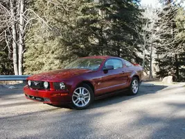 Stang001.webp