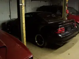 Mustang002.webp