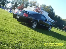 mustangparc5.webp