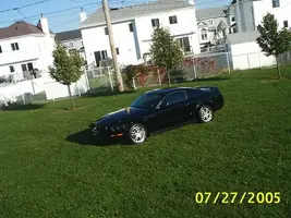 mustangparc10.webp