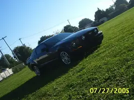 mustangparc8.webp