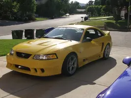 Beard99Saleen.webp