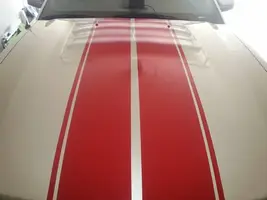 1891159_10152019173288650_653642602_n.webp