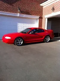 95 Cobra1.webp