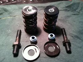 AFR Valve Springs.webp
