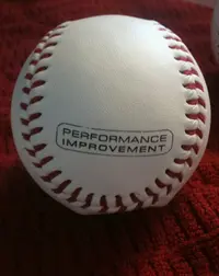 ball on blanket.webp