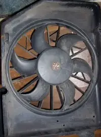 fan2.webp