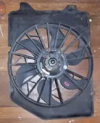 fan1.webp