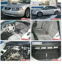 mustang.webp