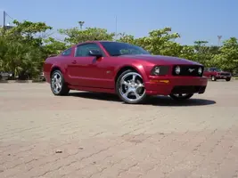 Stang2.webp
