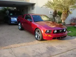 stang5.webp