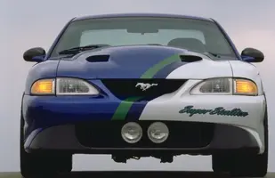 superstallion4.webp