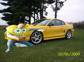 yellow95GTSSB1.webp