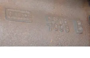 tranny1.webp