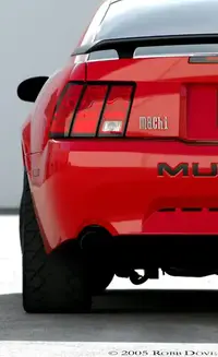 rear.webp