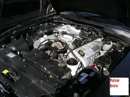 fusebox8pn.webp